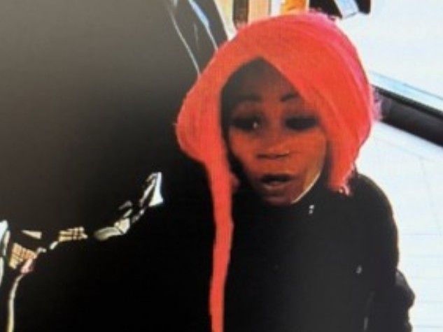 Woman charged for taking daughter, 8, from legal guardian; man busted for Rexdale knifepoint robbery