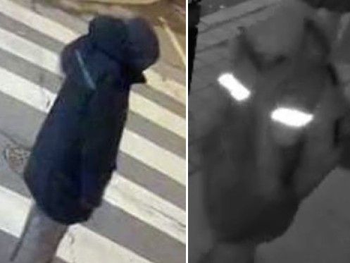 Suspect sought for Parkdale sex assault