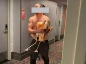 FLAMINGO HORROR: Tourist's Vegas Torture Exposed!