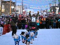 031826-US-Iditarod