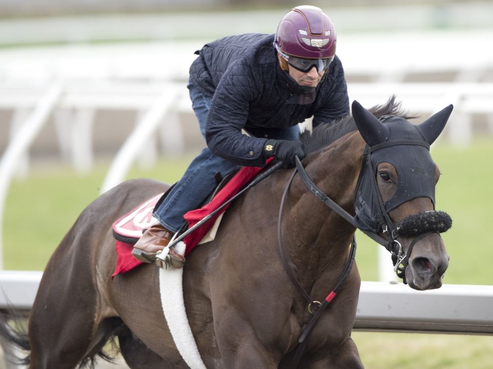 Jockey Rafael Hernandez rides a horse ahead of Woodbine Racetrack's season opener.