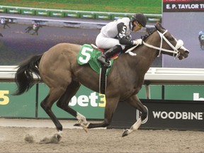 Jockey Jose Campos captures the first race aboard Haley's Honor