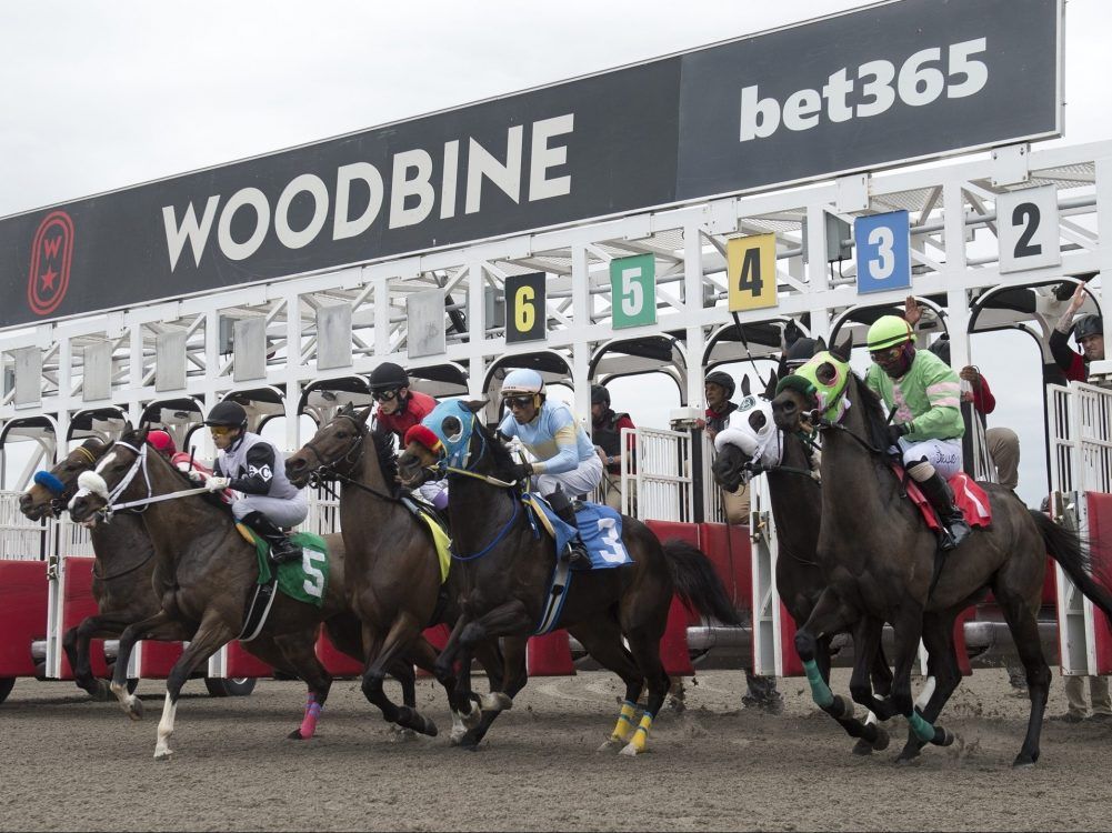 Haley’s Honor has honour of first win at Woodbine in 2026