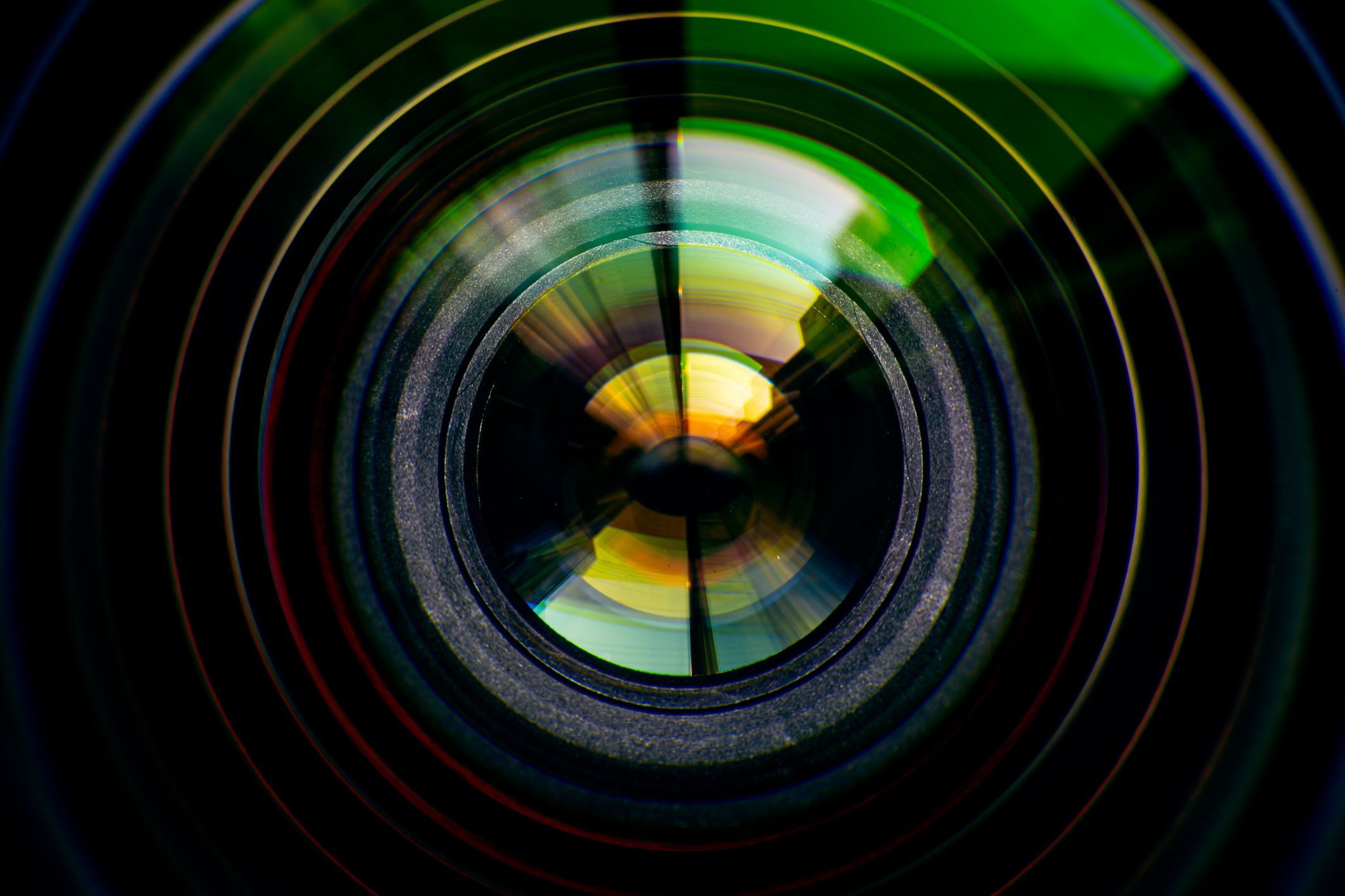 Feds spend $1.2M on art exhibition that gives cameras to homeless