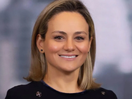 Hajdini