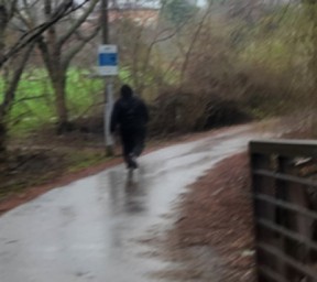 Investigators with Peel Regional Police are asking the public to help identify a suspect wanted for an alleged sex assault in Brampton.