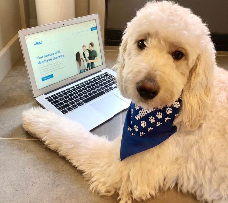 Canadians increasingly adding pets to their will, study shows