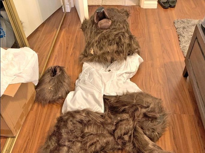 Fraudsters sentenced in California bear-suit luxury car insurance scam