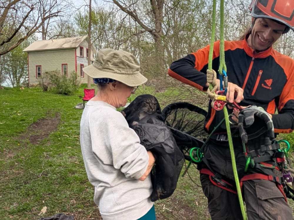 Iowa cat stuck in tree for days rescued by Minnesota arborist