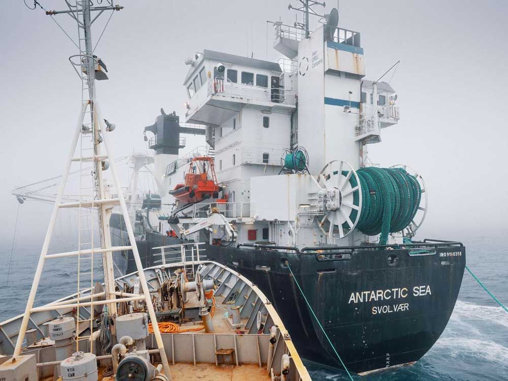 Canadian activist's ship collides with krill trawler in Antarctica