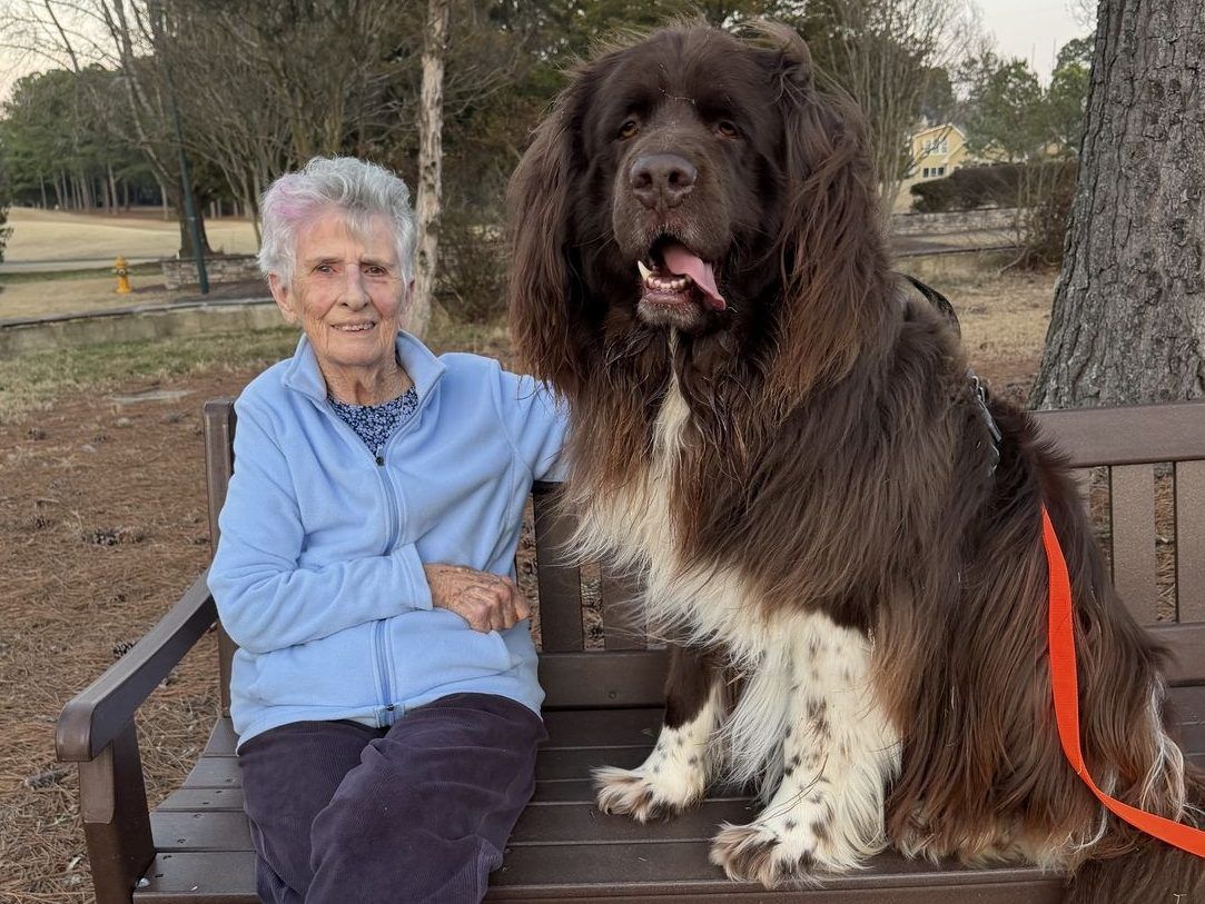 Woman, 96, enlists 150-pound dog to plant spring flowers: She points, he digs