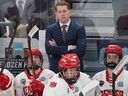 Head coach David Carle of the Denver Pioneers looks on before the NCAA Division I men's ice hockey championship game against the Wisconsin Badgers earlier this year.