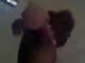 An image from Toronto Police in their search for a dog in a fatal attack.
