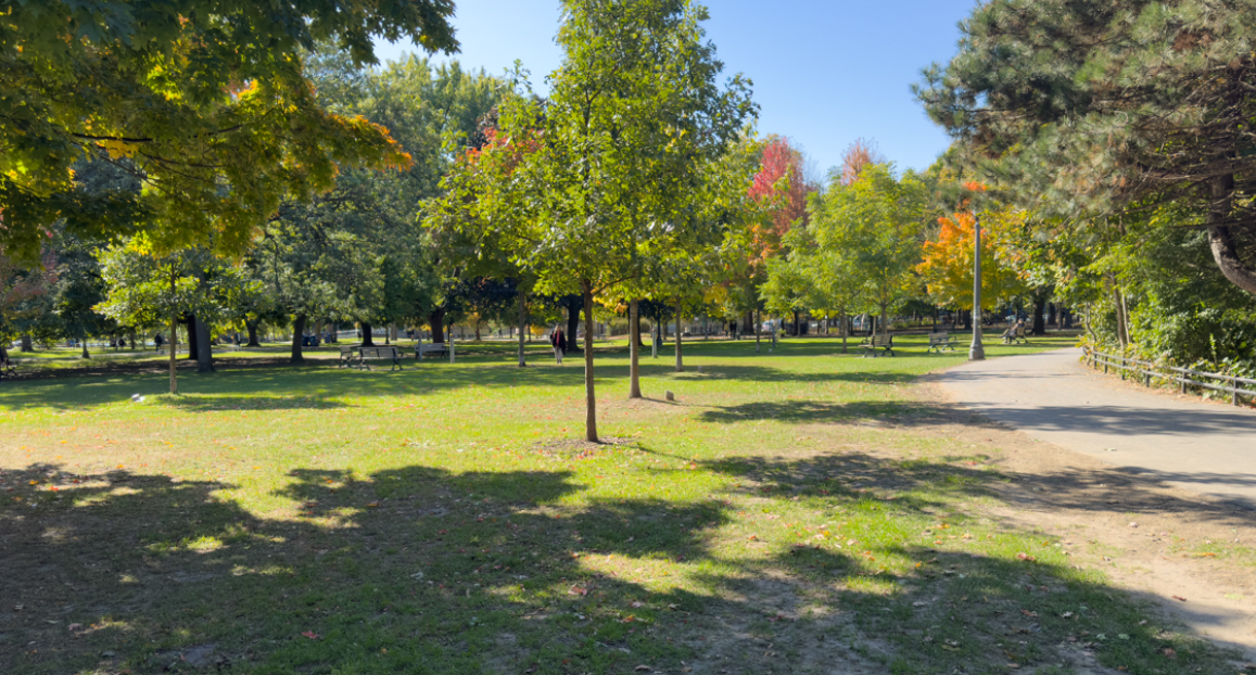 Trinity Bellwoods Park