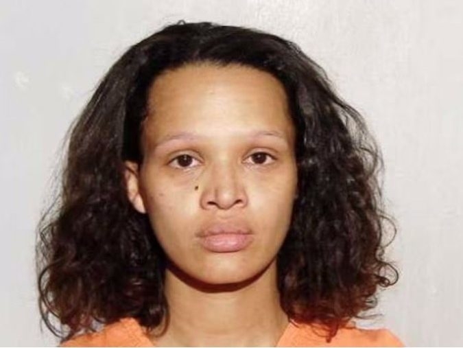  Jessica Anderson, 28, was charged with felonious assault.