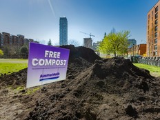 Compost pile with Ausma Malik sign