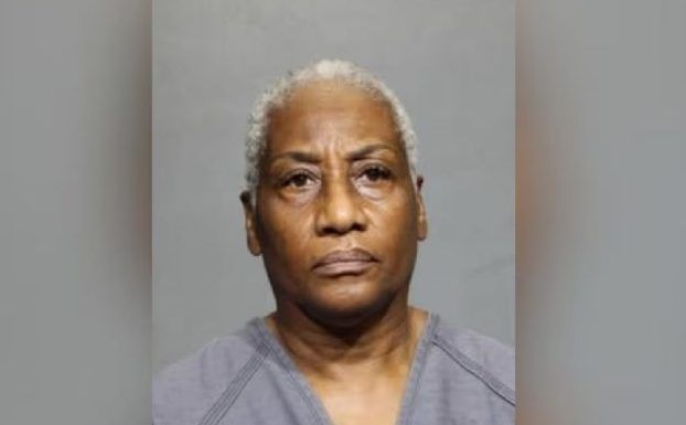Florida woman accused of running over baby ducks