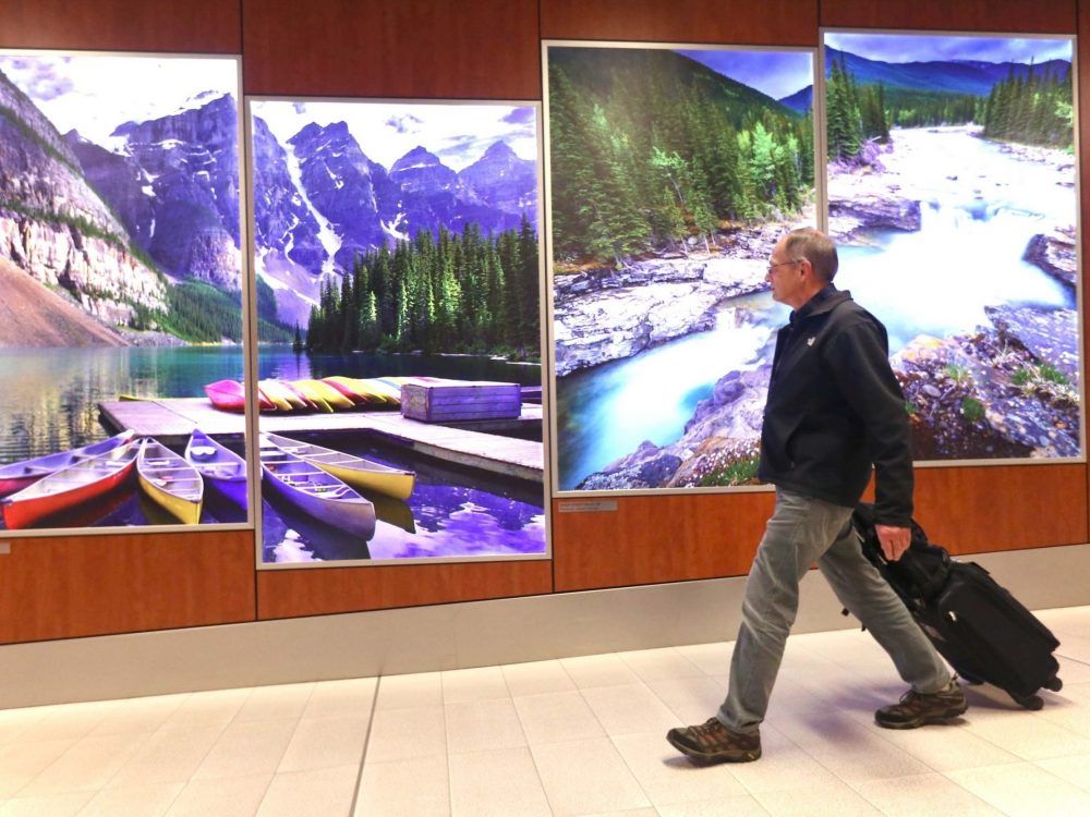 A traveller arrives at Calgary International Airport. He walks past large murals of Moraine Lake and Sheep River Falls, both popular tourist destinations in Alberta.