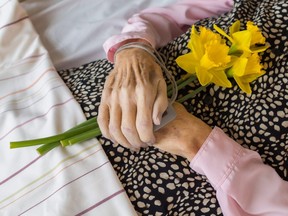 A person on their deathbed holding daffodils