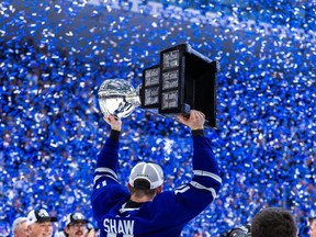 Why the Leafs will be contacting the AHL champion Marlies for help Why the Leafs will be contacting the AHL champion Marlies for help