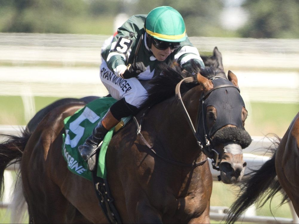 Brachetto has Marine Stakes upset win on busy Woodbine card
