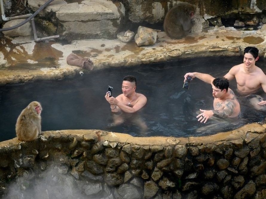 Recent years have seen the number of tourists at Japan's 'snow monkey' park rise sharply.