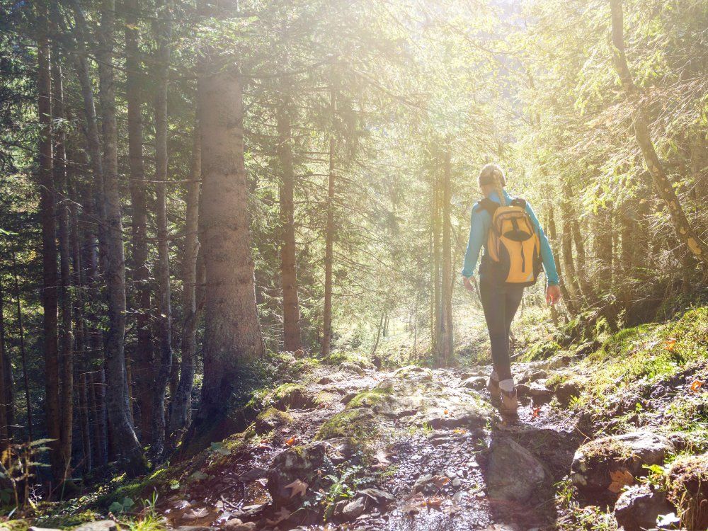 The surprising science-backed reason being in nature makes you feel good