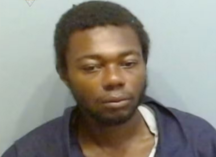 Atlanta woman fatally stabbed up to 20 times on train: 'Nobody was helping her'