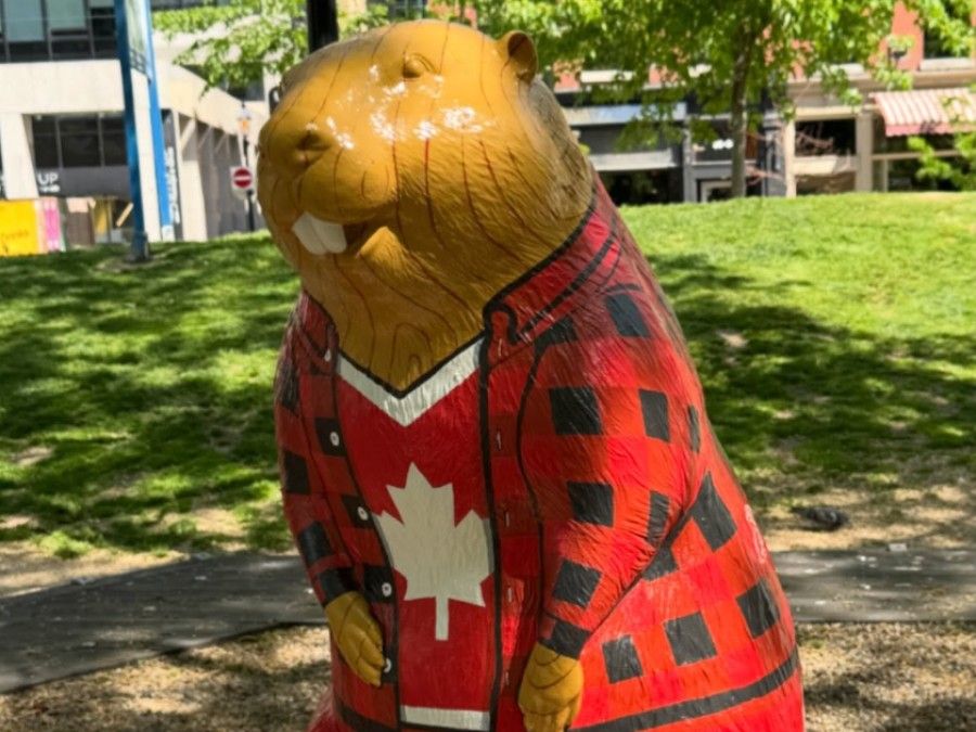 The Canadian beaver is one of 51 critters scattered throughout Toronto's Old Town neighbourhood as part of a scavenger hunt during the FIFA World Cup.