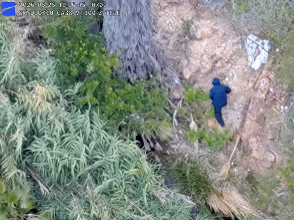 Drone helps capture suspect in California palm tree arson case