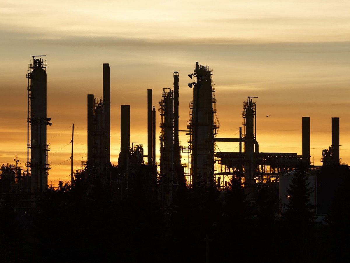 Conservative Leader Poilievre Criticizes Prime Minister's Abrupt Reversal on Environmental Policies Implemented Under Trudeau.