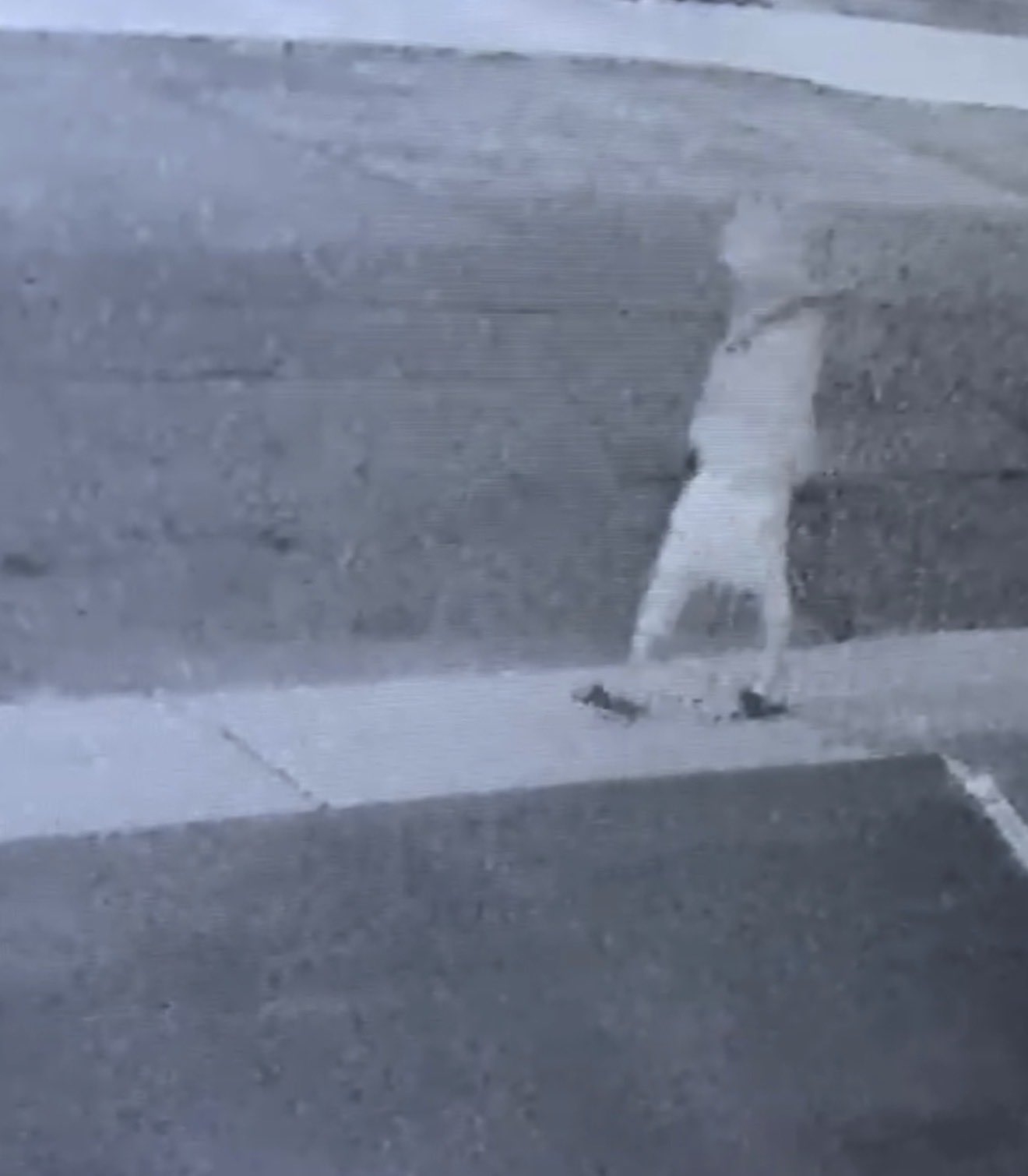 An image from Peel police of Jordan Sangwin, wanted on a Canada-wide warrant for murder of his parents, seen near High Park in Toronto around 11 p.m. Monday, June 22, 2026. An image from Peel police of Jordan Sangwin, wanted on a Canada-wide warrant for murder of his parents, seen near High Park in Toronto around 11 p.m. Monday, June 22, 2026.