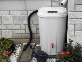 City of Toronto rain barrel