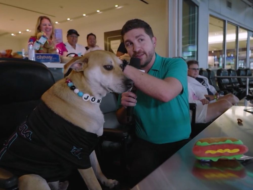 Jonah, a dog that went viral on social media last month, was treated to a day at the ballpark by the Miami Marlins.