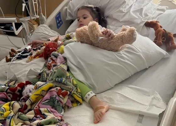 California Child Bitten by Rattlesnake in Unexpected Amazon Package