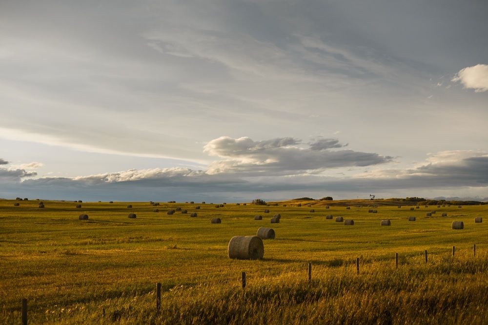 Farm Credit Canada הוא אחד המוסדות הפיננסיים הגדולים ביותר באוטווה.