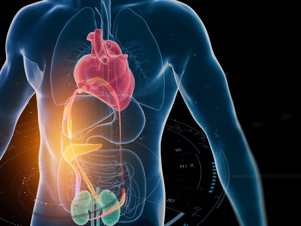 Cardiometabolic CKM Syndrome 3D Visualization: Integrated Heart, Kidney, and Pancreatic Health with 4D Flow MRI Data Overlays