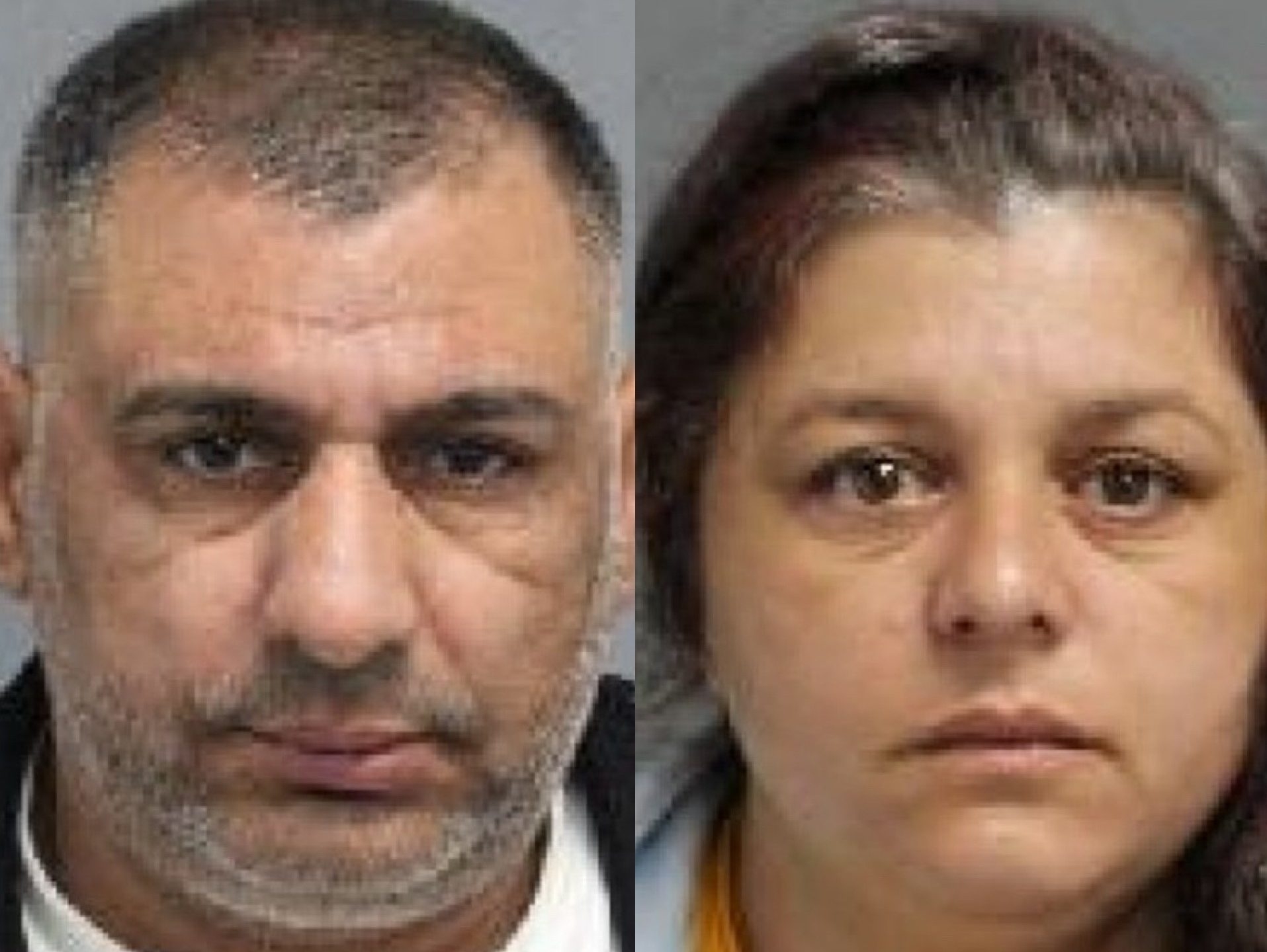 North York Duo Charged With Targeting Elderly Woman in Fraud Scheme