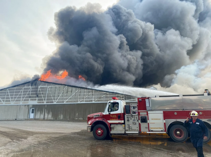 Simcoe Pig Farm Fire Kills 20,000 Animals