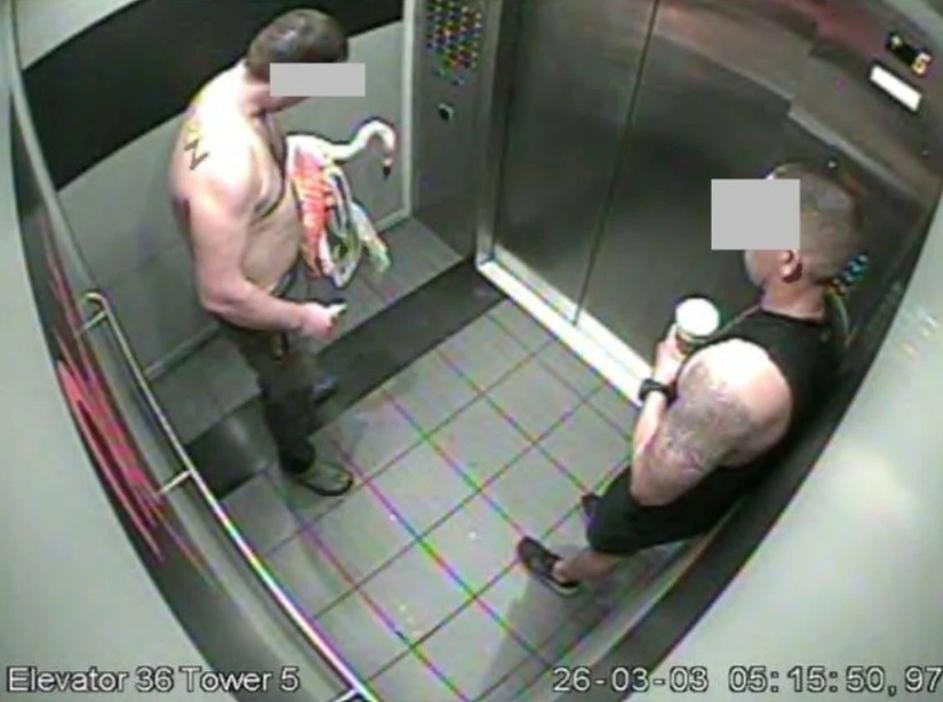 Canadian Man Charged in High-Profile Case of Flamingo Theft and Alleged Cruelty Pled Not Guilty in Las Vegas Court.