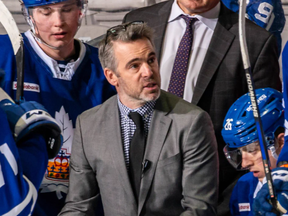 Why Steve Sullivan is the new coach of the Toronto Marlies Why Steve Sullivan is the new coach of the Toronto Marlies