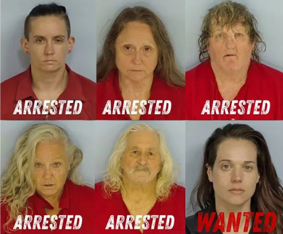Johnson and her alleged accomplices. Johnson and her alleged accomplices.