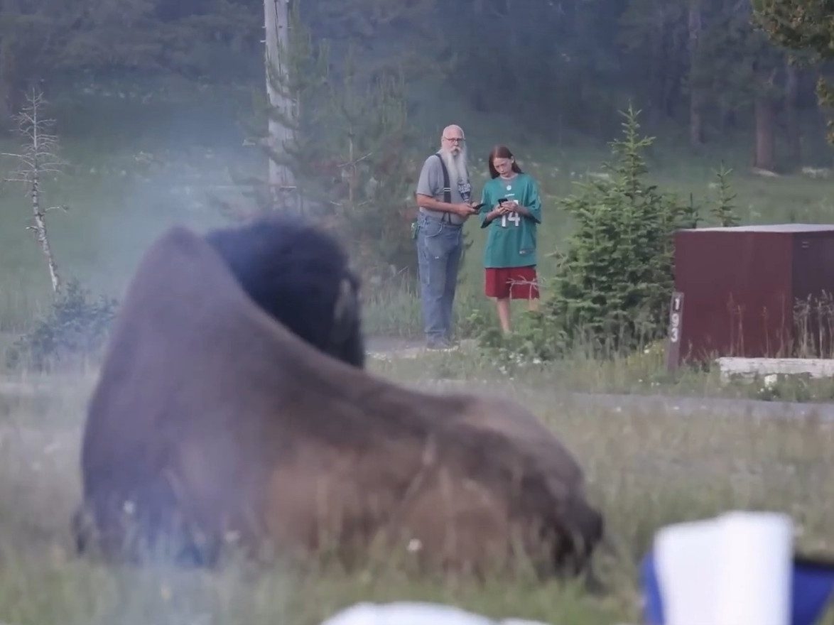  Carl and his grandson marvelling at the bison. (X)