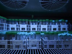 072326-cannabisdreams_HLTNGYGH5EI6RHAPF75PNVBCVI