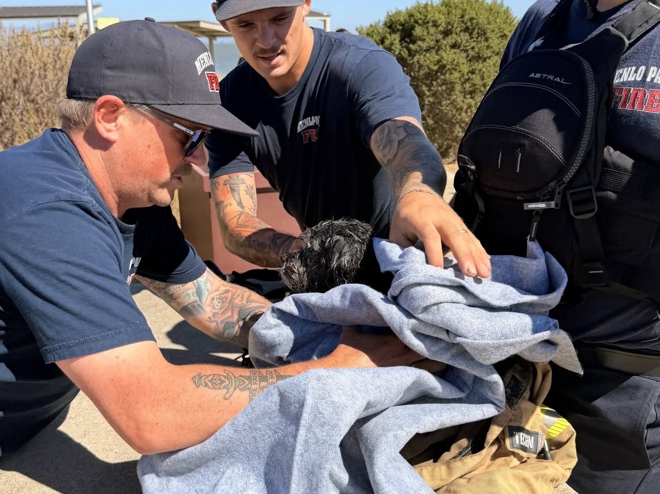  Scared but safe. (Menlo Park Fire Protection District/Facebook)