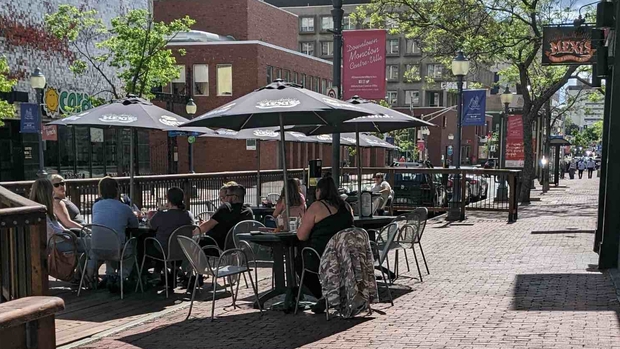 Restaurant sector leads Canada’s youth job growth in first half of 2026, reports StatsCan