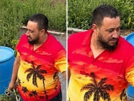 Images of alleged thief who stole fresh produce from community garden in Bowmanville, Ont.