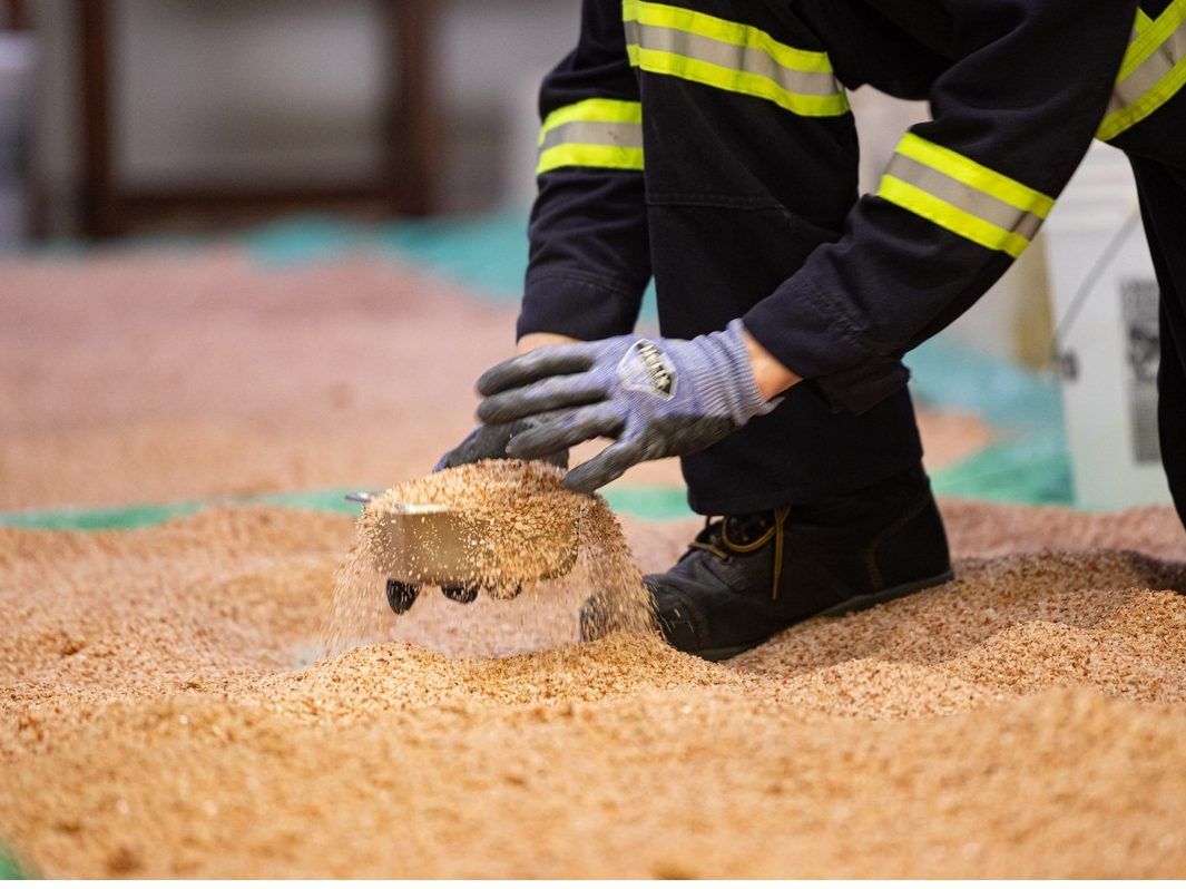 CHARLEBOIS: Don’t tax Canada’s ‘pink gold’ potash