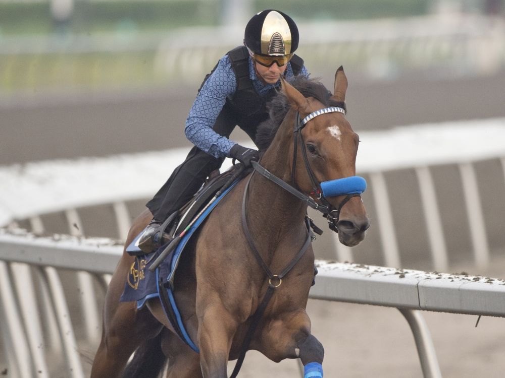 Popular trainer Harold Ladouceur chases King’s Plate glory with Imyourmedicineman
