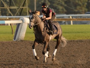 Luster is the even-money favourite to win the King's Plate on Saturday.